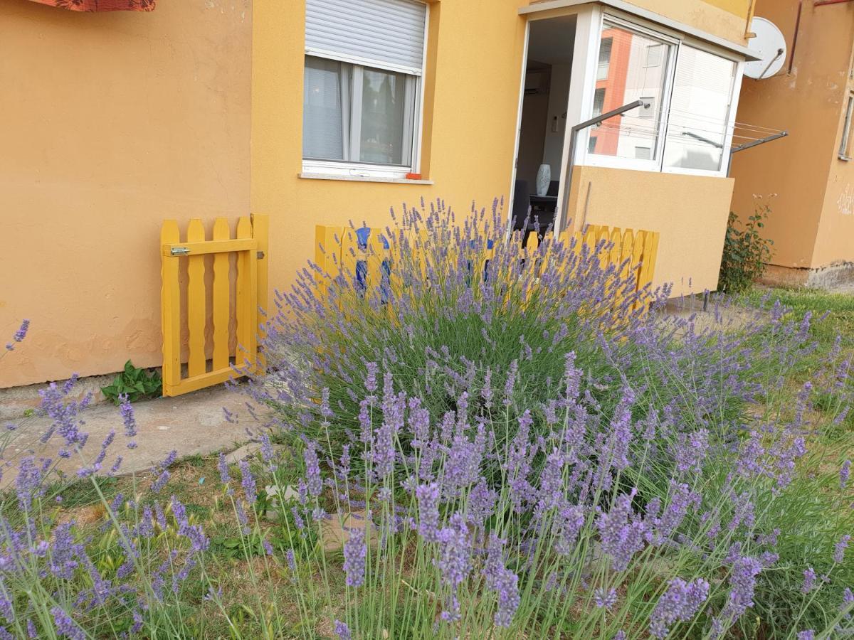 Lav Apartamento Rovinj Exterior foto